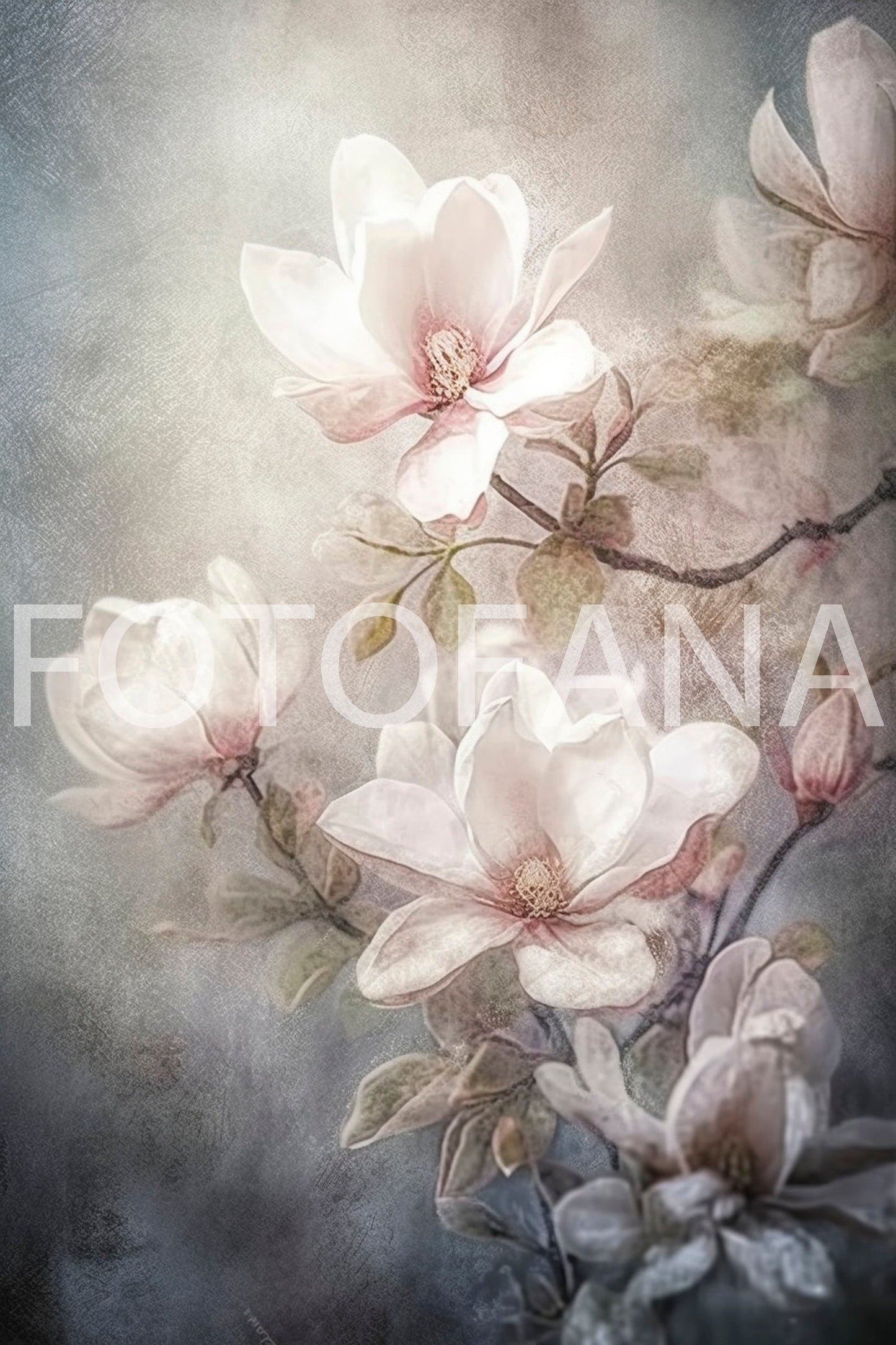Floral Digital Backdrop Magnolias Fine Art Floral Digital Background Maternity Backdrop Overlays Photoshop Texture Studio Backgrop Digital