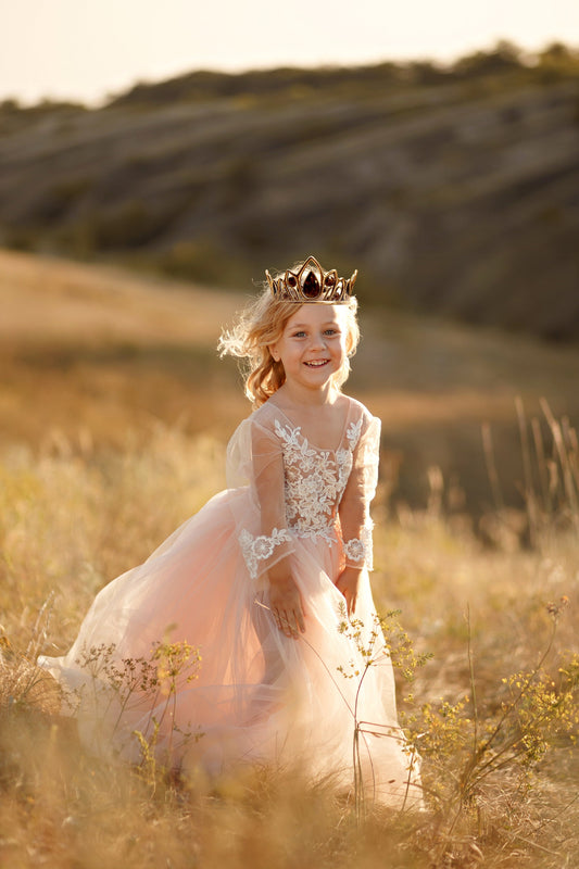 Digital Crown Overlay Tiara Princess Maternity Overlays Crown Photoshop Composite Jewel Digital Queen Princess Crown Maternity Backdrop Png