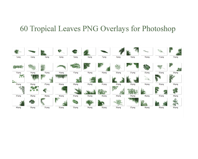 Tropical Leaves Digital Overlays For Photoshop Green Tropical Overlay Palm Leaf Backdrop Digital Plants Maternity Digital Backdrop Png