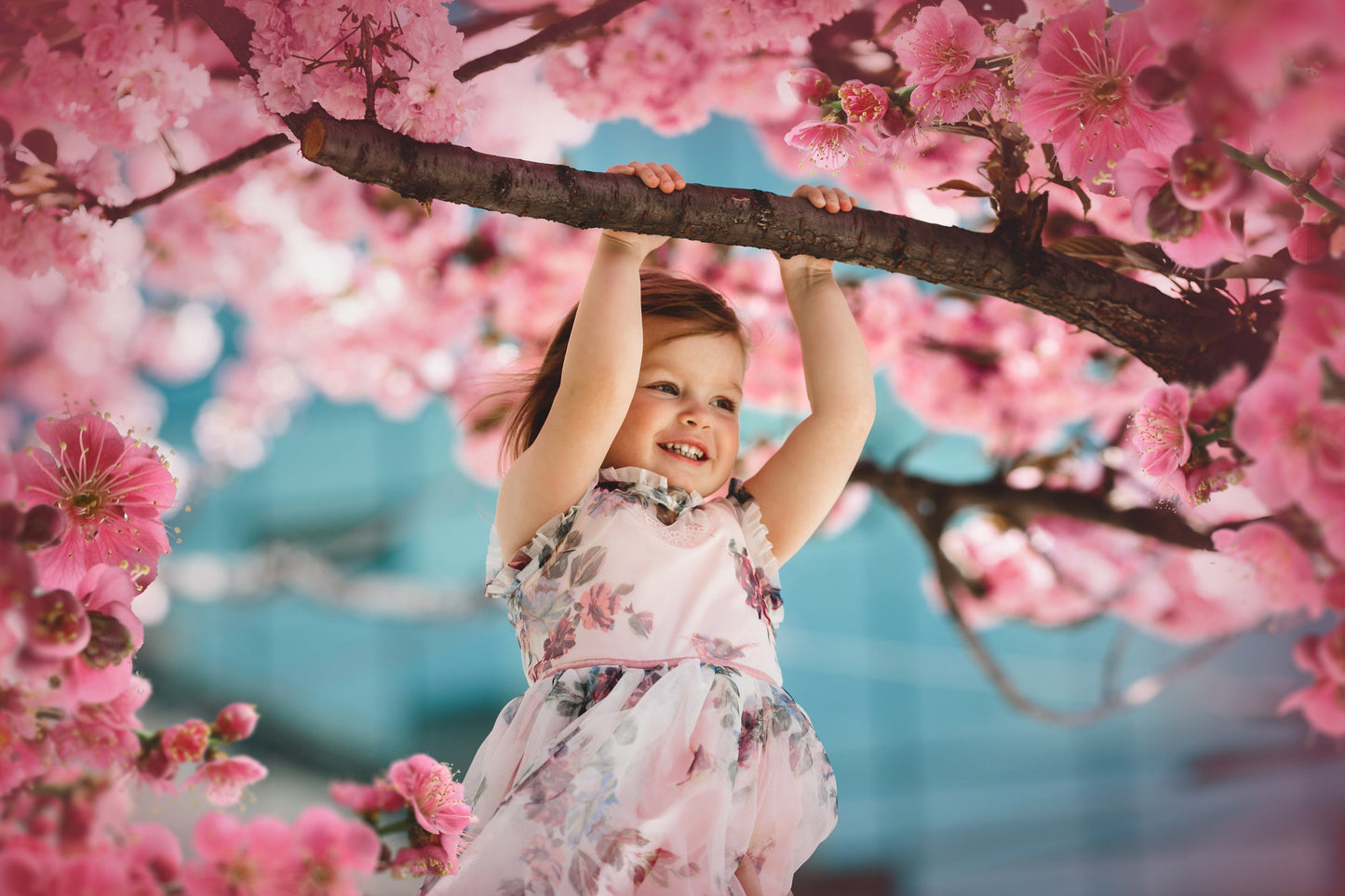 45 Blooming Spring Branch Overlays Digital Flowering Trees Cherry Blossom Photoshop Effect Spring Summer Floral Painted Flower Overlay Photo