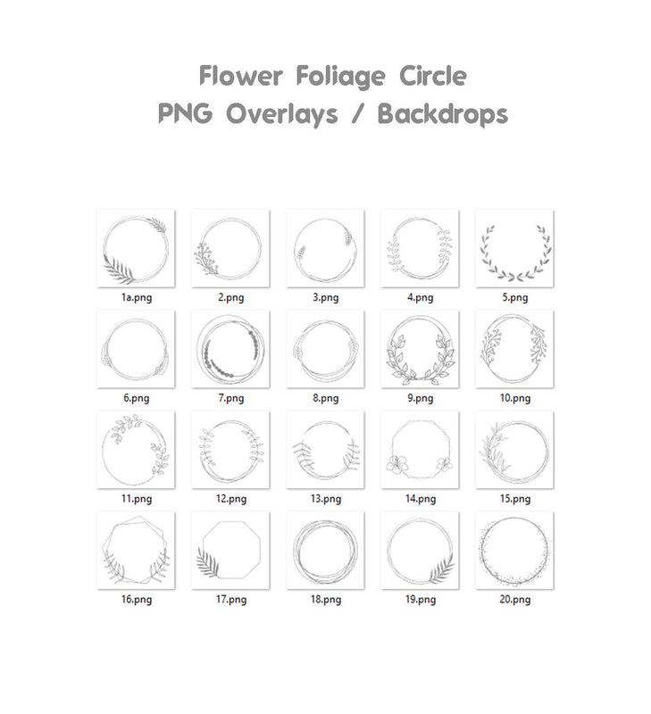 Floral Silver Circle Overlays Maternity Light Ring Frame Circles Shine Ring Light Maternity Rings Foliage Floral Maternity Ring Backdrop Png