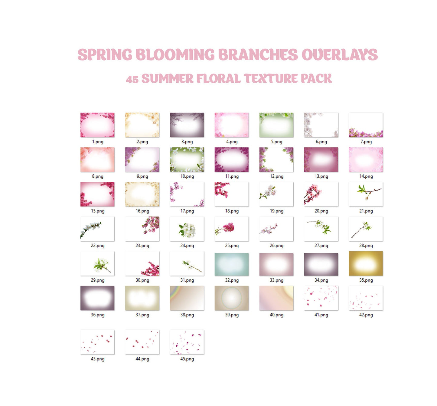 45 Blooming Spring Branch Overlays Digital Flowering Trees Cherry Blossom Photoshop Effect Spring Summer Floral Painted Flower Overlay Photo