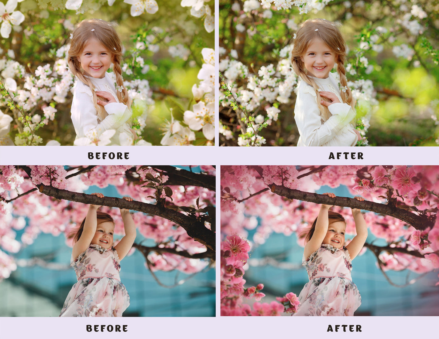 45 Blooming Spring Branch Overlays Digital Flowering Trees Cherry Blossom Photoshop Effect Spring Summer Floral Painted Flower Overlay Photo