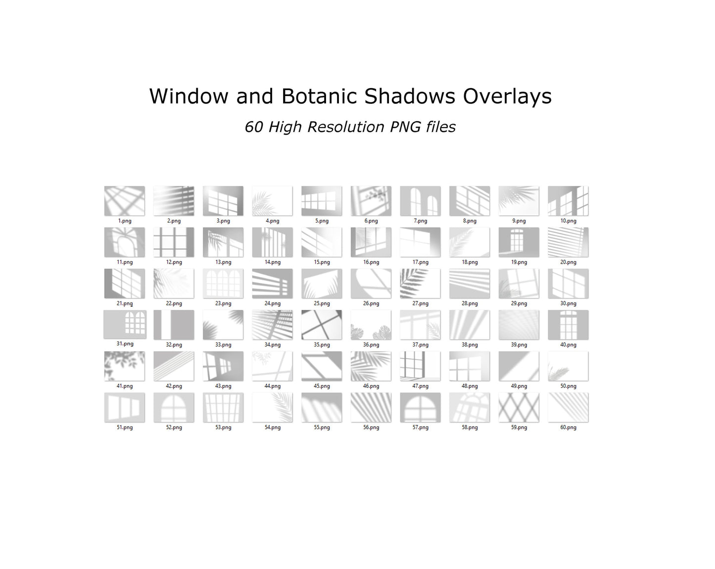 60 WINDOW SHADOW Overlays for Photoshop Botanic Shadows Window Light Overlay Window Light Window Shadows Portrait Overlay Plant tree Overlay