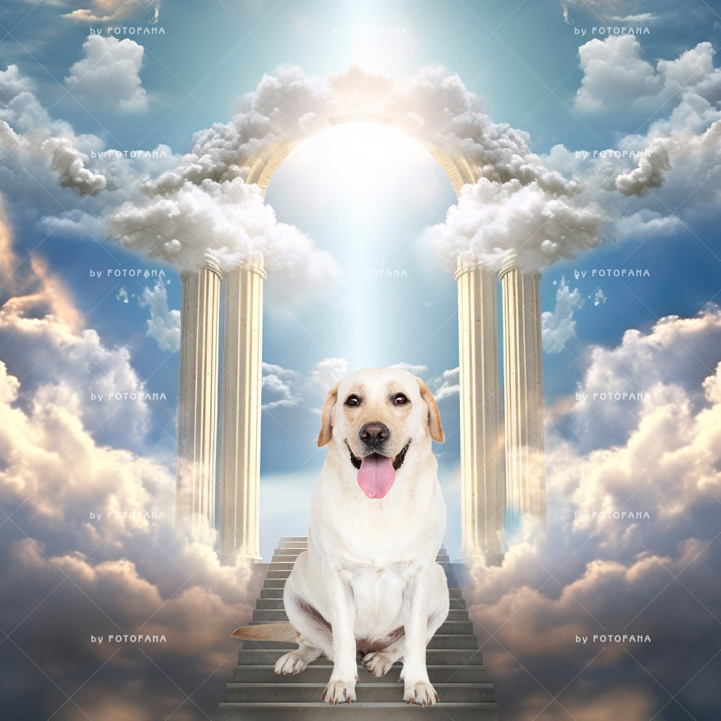 Stairway To Heaven Background Sky overlays Road to Heven Cloud overlay Digital sky Condolences Card Instant Download Pet Memorial Backdrop