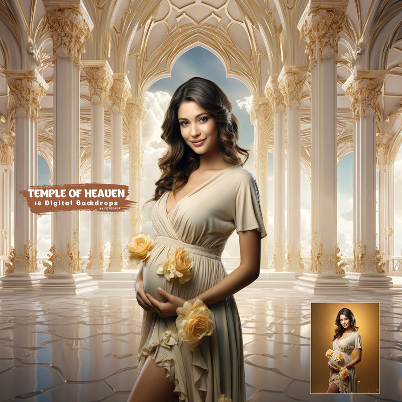 Digital Backdrop Goddess Maternity Backdrop Overlays Studio Backdrop Overlays Fine Art Textures Photoshop Overlays Castle Digital Backdrop