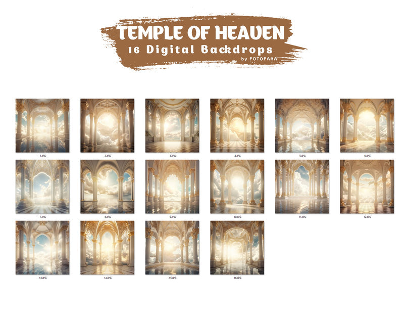 Digital Backdrop Goddess Maternity Backdrop Overlays Studio Backdrop Overlays Fine Art Textures Photoshop Overlays Castle Digital Backdrop