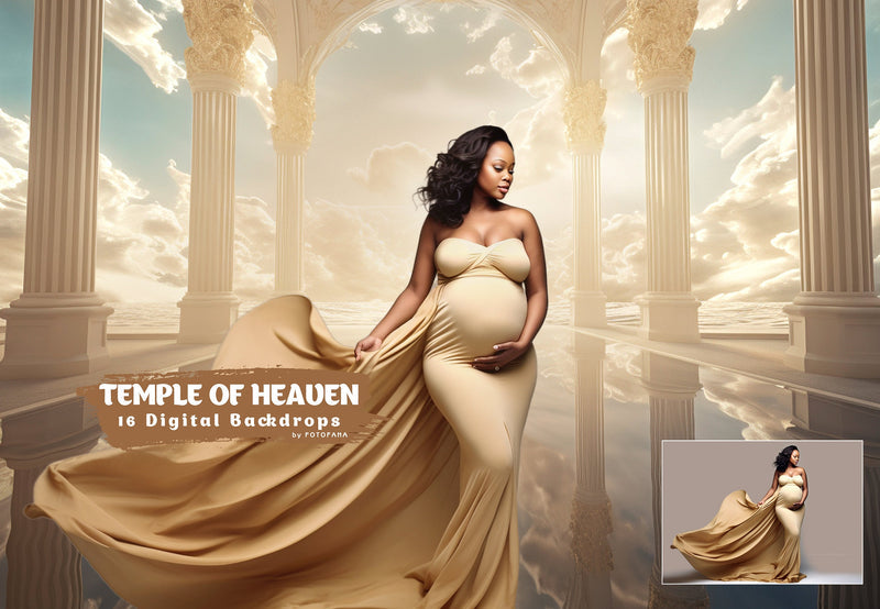 Digital Backdrop Goddess Maternity Backdrop Overlays Studio Backdrop Overlays Fine Art Textures Photoshop Overlays Castle Digital Backdrop