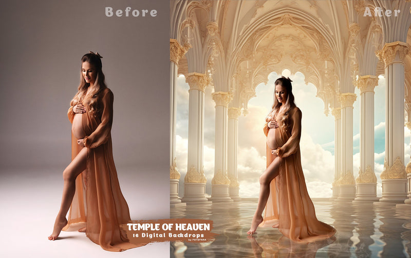 Digital Backdrop Goddess Maternity Backdrop Overlays Studio Backdrop Overlays Fine Art Textures Photoshop Overlays Castle Digital Backdrop