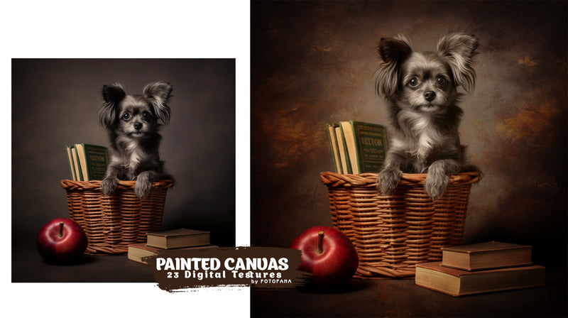 Portrait Studio Digital Backdrop