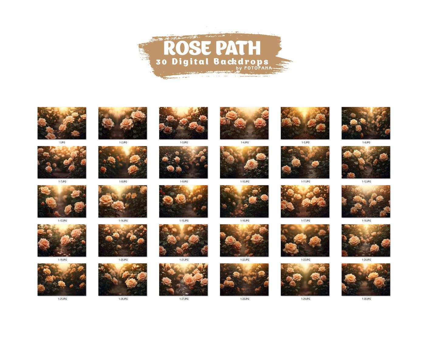 Rose Path Digital Backdrop Maternity Digital Backdrop Flower Garden Backdrop Summer Portait Overlay Fine Art Textures Photoshop Overlay