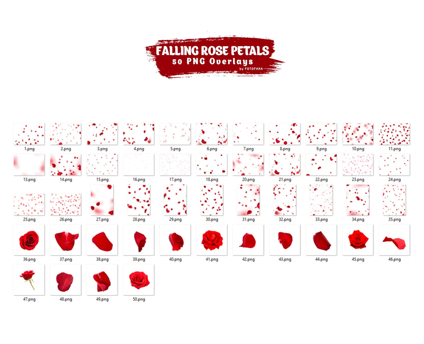 Red Rose Petals Romantic Maternty Overlays Wedding Overlay Photoshop Overlays Valentines Day Falling Petals Maternity Digital Backdrop Png