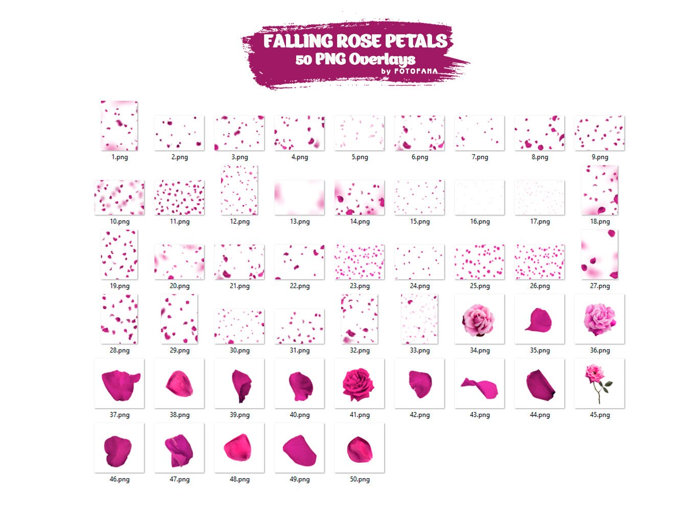 Pink Rose Petals Romantic Maternty Overlays Wedding Overlay Photoshop Overlays Valentines Day Falling Petals Maternity Digital Backdrop Png