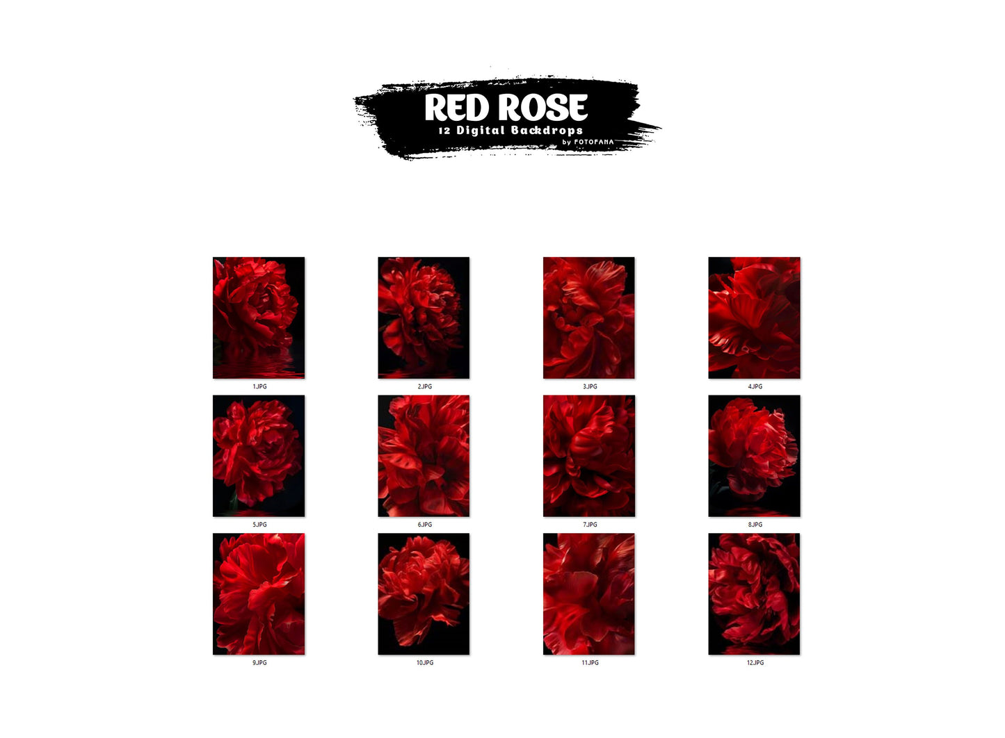 12 RED ROSE Digital Backdrops Overlay Maternity Digital Background Flower Fabric dress Texture Overlays Fine Art Studio Valentine Backdrop