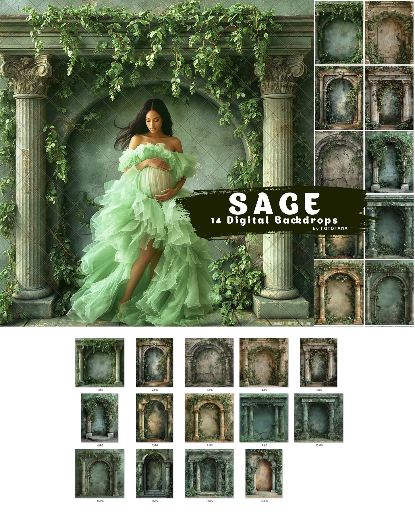 SAGE ARCH Digital Backdrops Maternity Overlays Backgrounds Floral Overlays Newborn Studio Backdrop for Photoshop Overlays Photoshop Fine Art