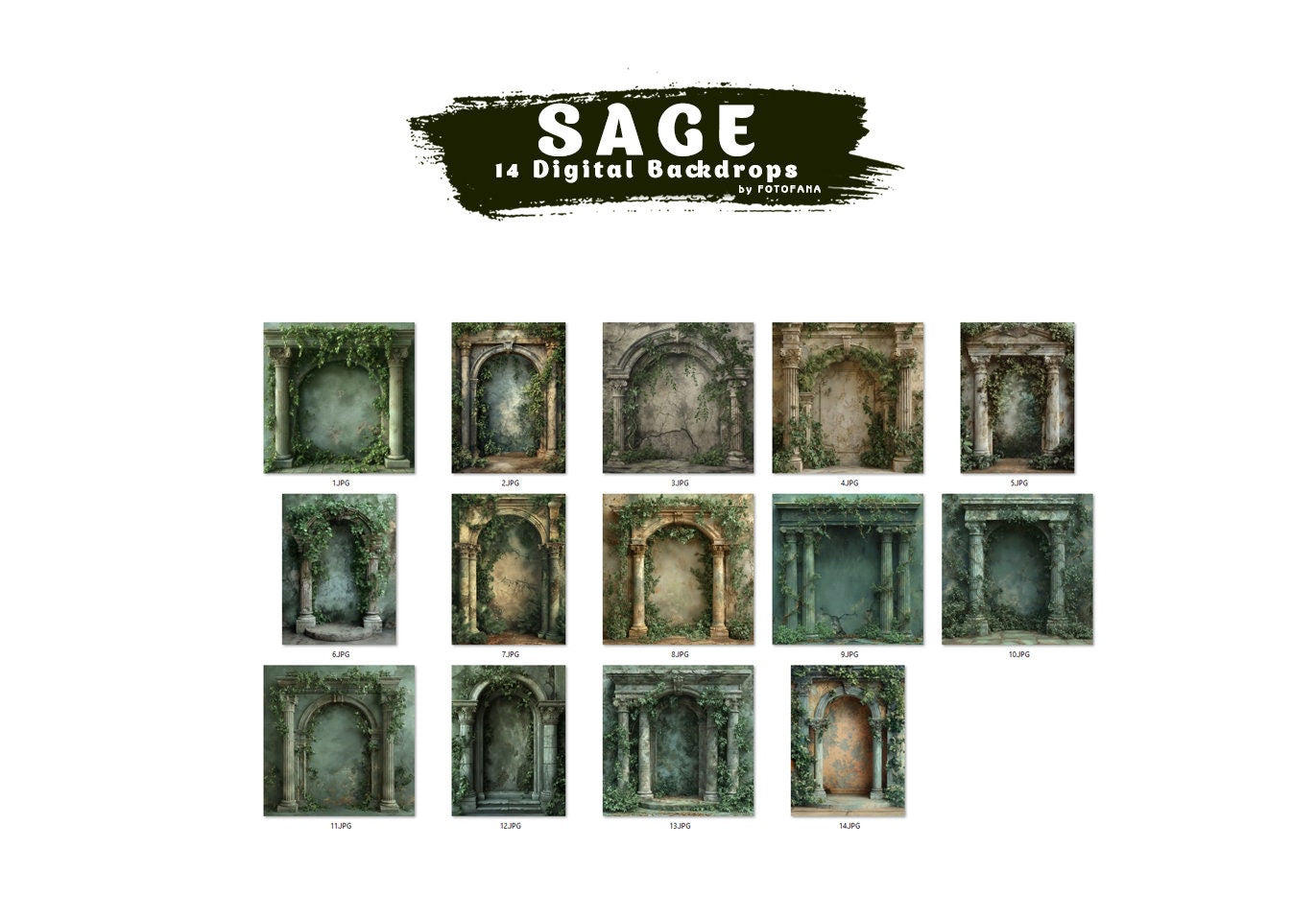 SAGE ARCH Digital Backdrops Maternity Overlays Backgrounds Floral Overlays Newborn Studio Backdrop for Photoshop Overlays Photoshop Fine Art