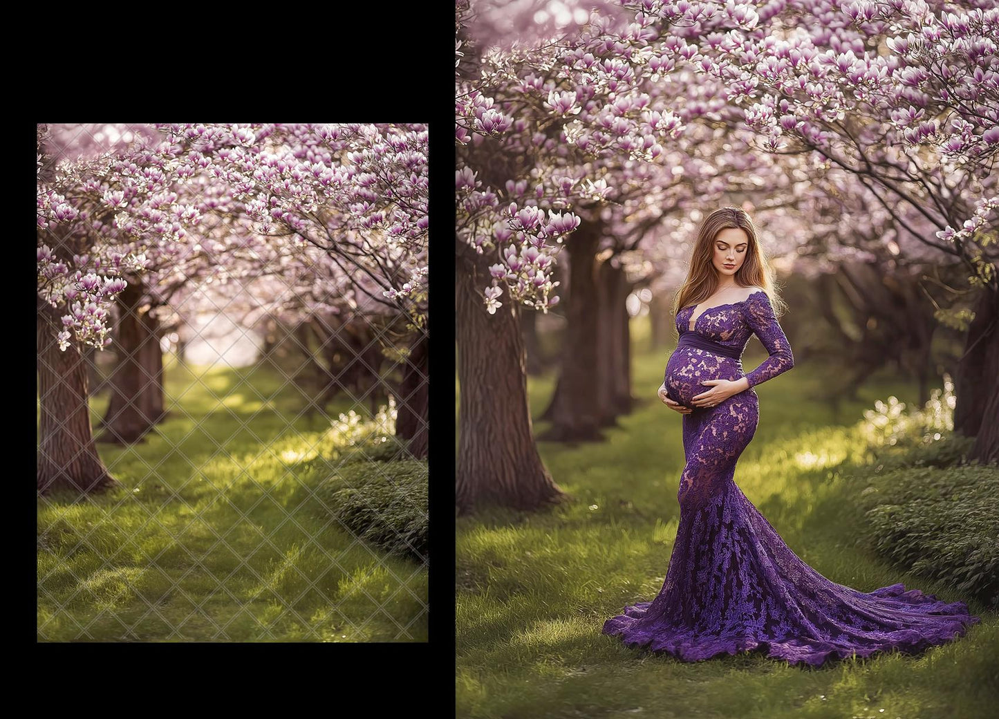 Magnolia Digital Backdrops