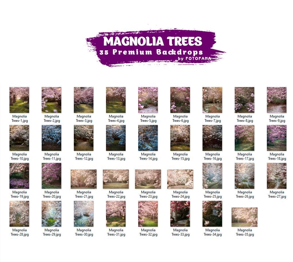 Magnolia Digital Backdrops