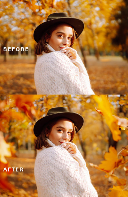 Autumn Leaves PNG Overlays