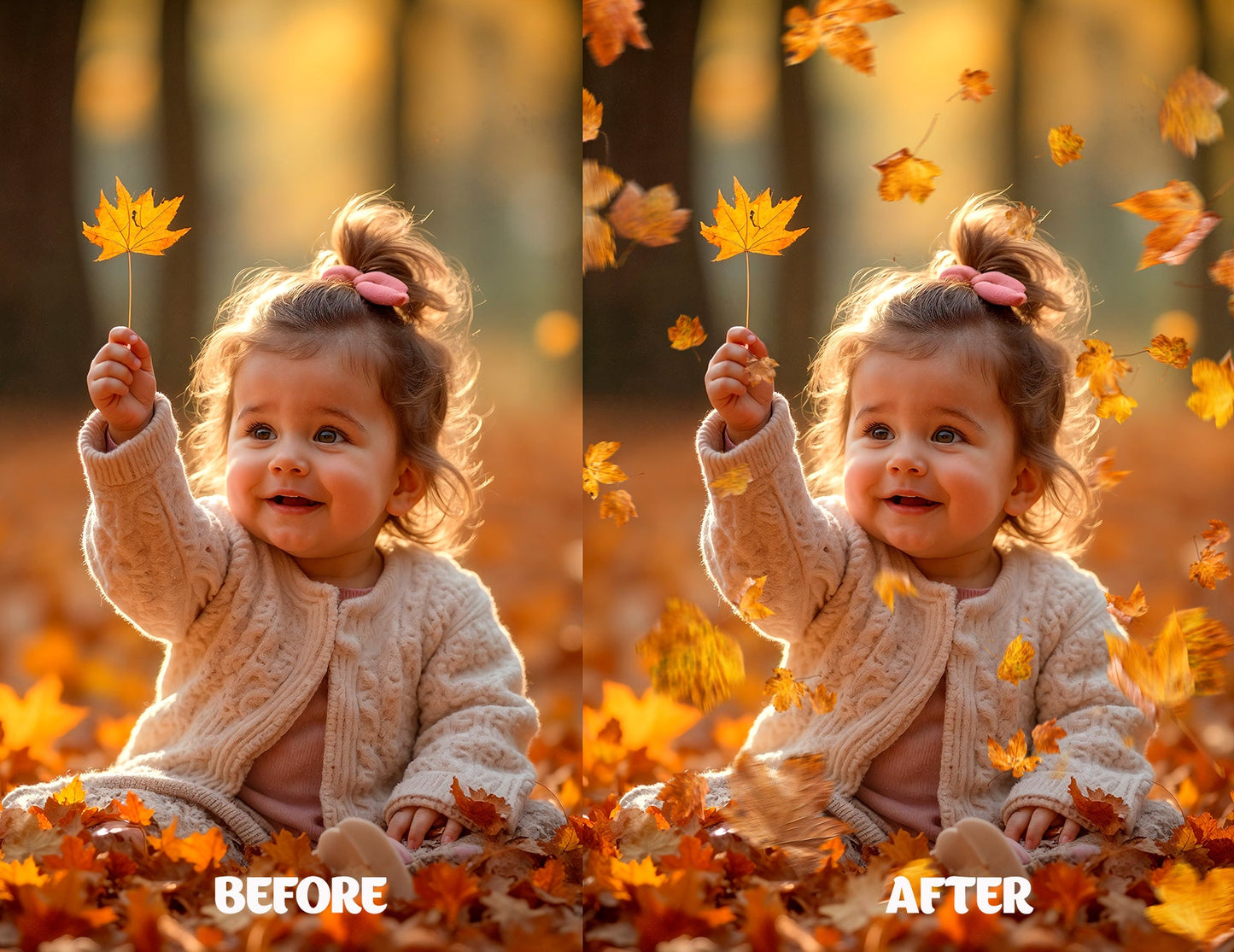 Autumn Leaves PNG Overlays