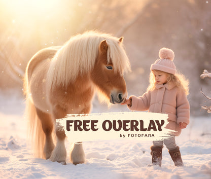 Sun Flare Photoshop Overlay Freebie