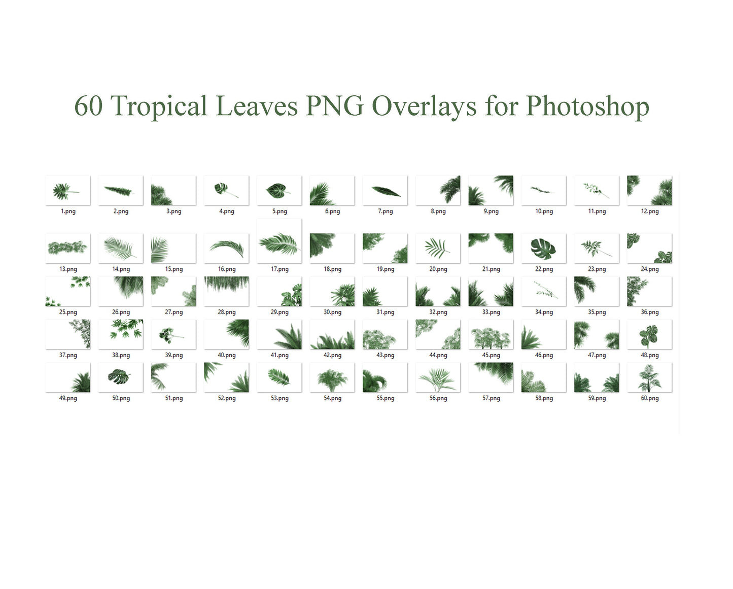 Tropical Leaves Digital Overlays for Photoshop Green Tropical Overlay, Palm Leaf Backdrop, Digital Plants Maternity Digital Backdrop PNG