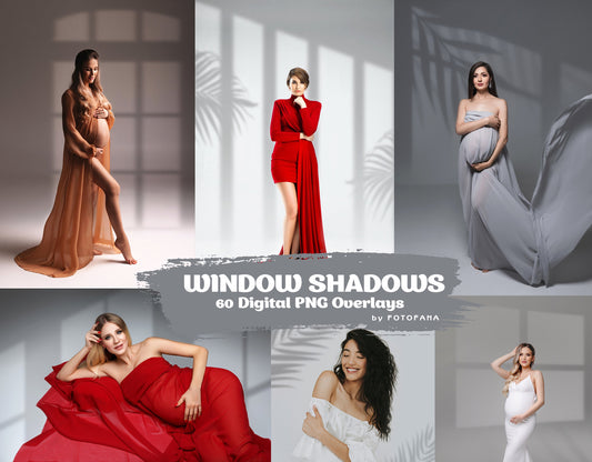 60 WINDOW SHADOW Overlays for Photoshop Botanic Shadows Window Light Overlay Window Light Window Shadows Portrait Overlay Plant tree Overlay