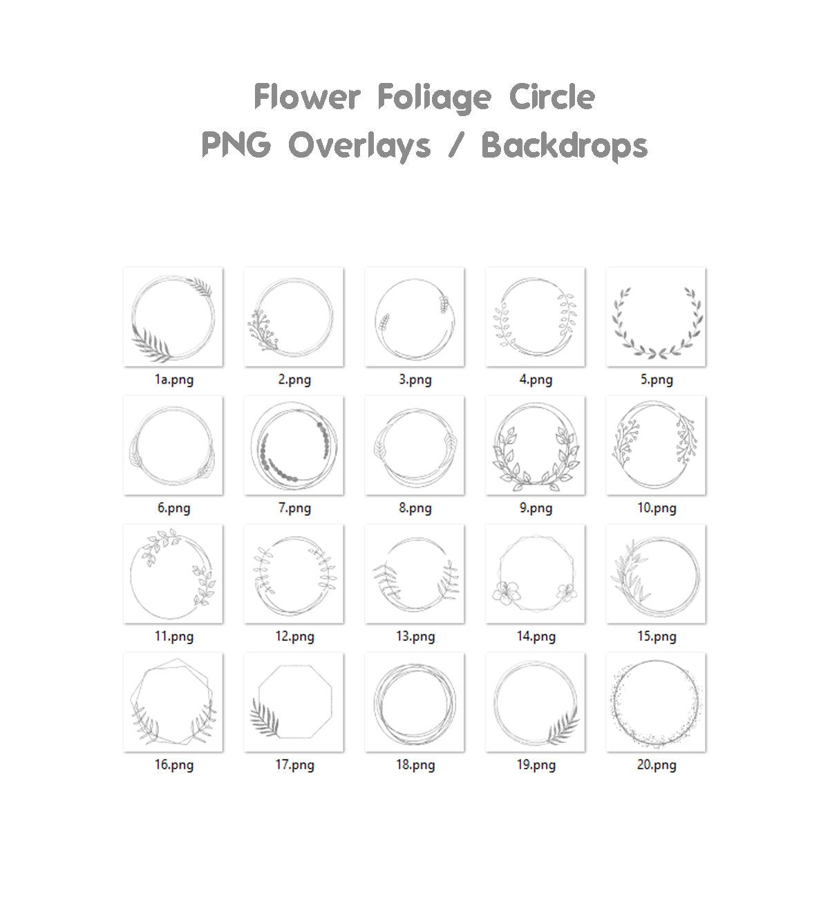 Floral Silver Circle Overlays Maternity Light Ring Frame Circles Shine Ring Light Maternity Rings Foliage Floral Maternity Ring Backdrop PNG