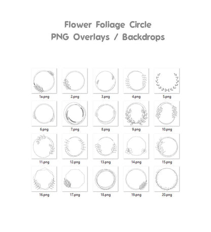 Floral Silver Circle Overlays Maternity Light Ring Frame Circles Shine Ring Light Maternity Rings Foliage Floral Maternity Ring Backdrop Png