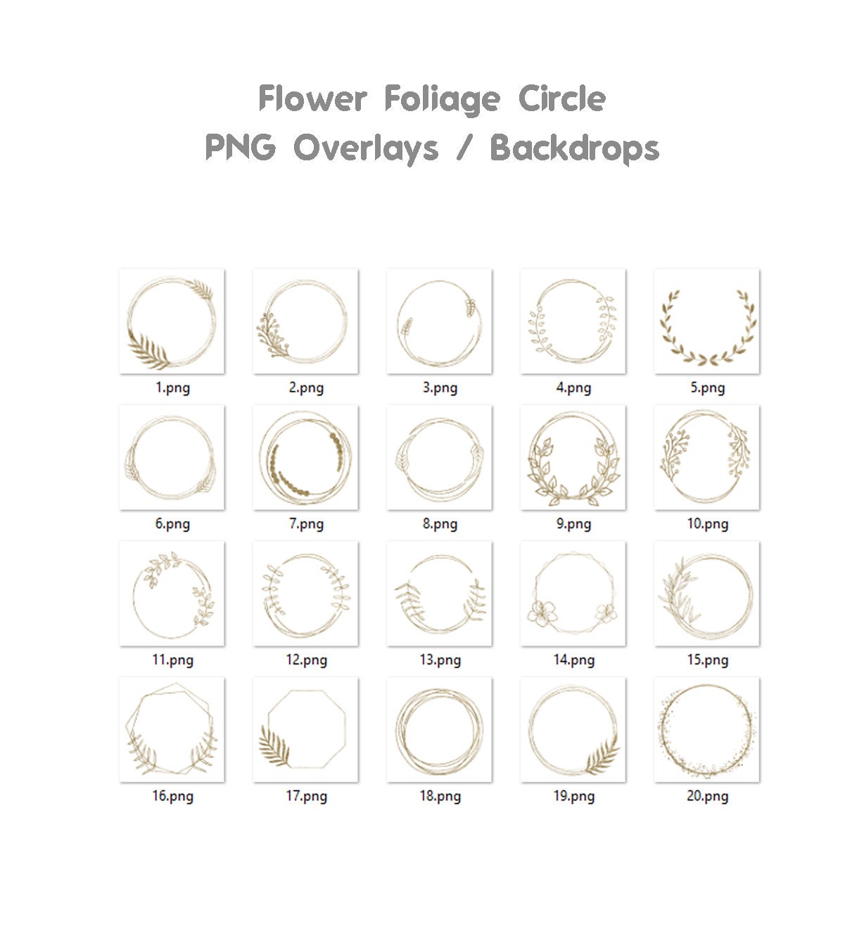 Floral Golden Circle Overlays Maternity Light Ring Frame Circles Shine Ring Light Maternity Rings Foliage Floral Maternity Ring Backdrop PNG