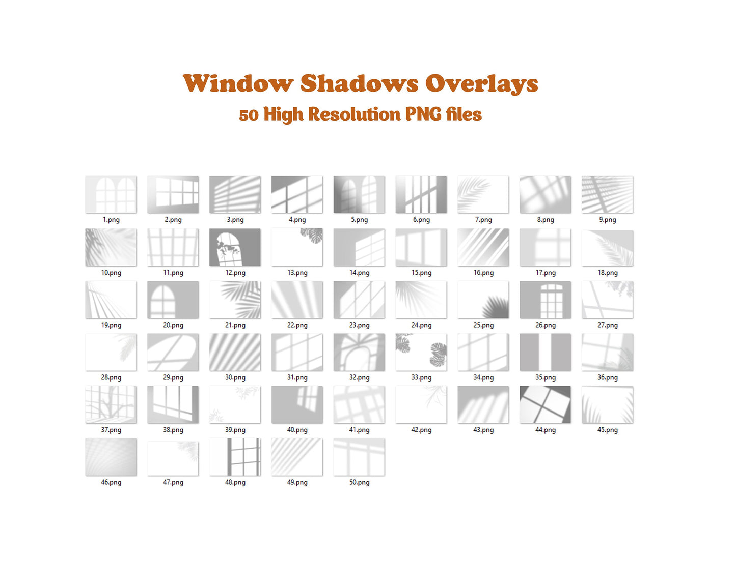 Window Shadow Overlays for Photoshop Botanic Shadows Window Light Overlays Window Light Window Shadows Portrait Overlay Plant tree Overlay