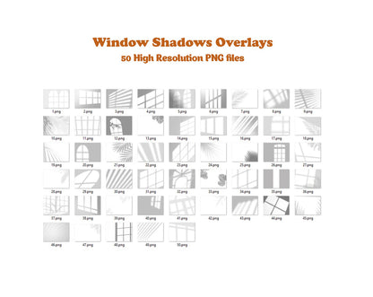 Window Shadow Overlays For Photoshop Botanic Shadows Window Light Overlays Window Light Window Shadows Portrait Overlay Plant Tree Overlay