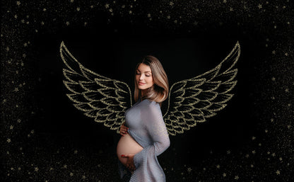 Glitter Wings Digital Overlay Digital Fairy Dust Photoshop Overlays Fantasy Fairy Wings Overlay Clipart Digital Overlays Photoshop Download