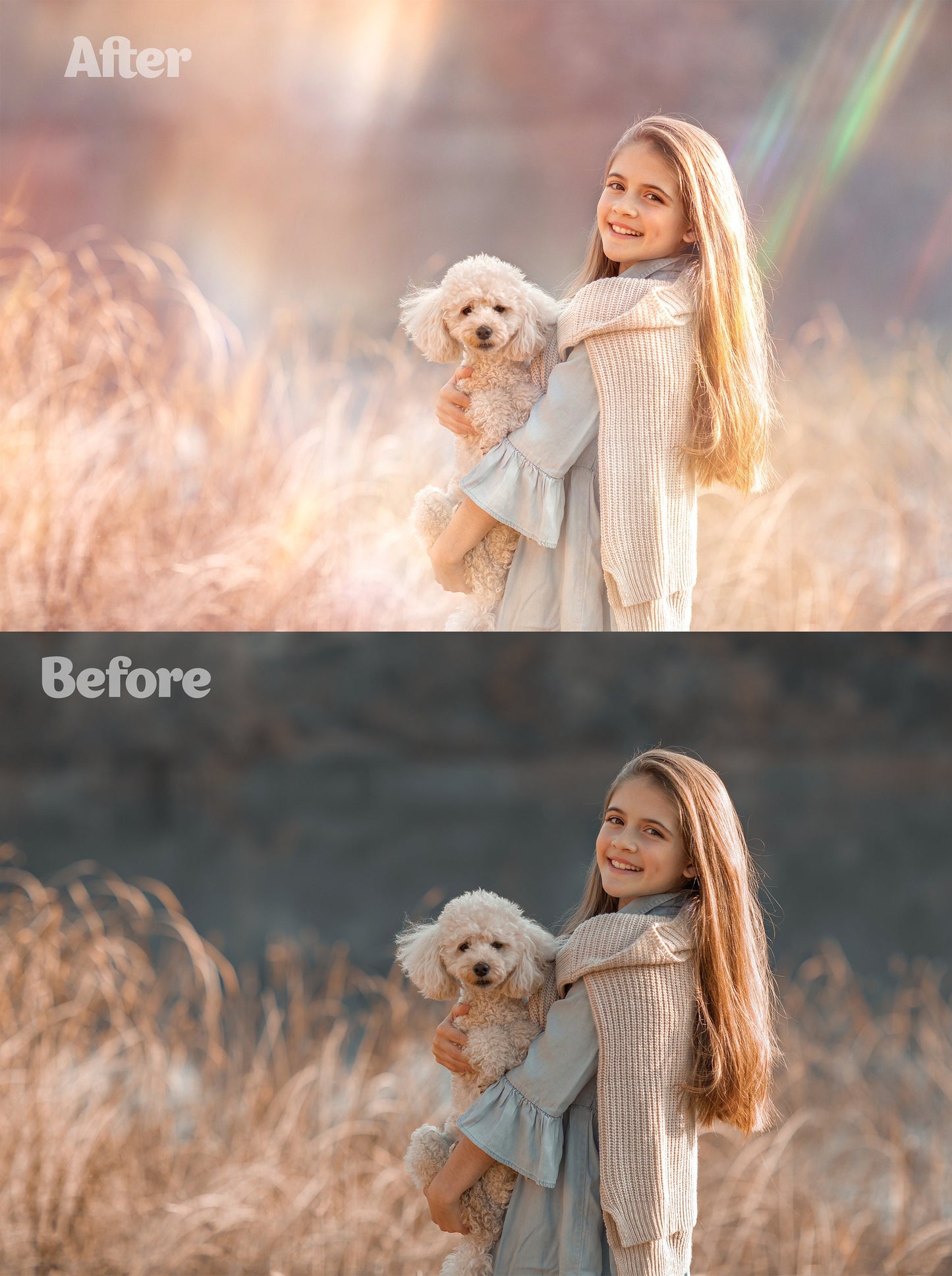 110 Natural Light Leaks Overlay Sun Light Effects Light Leaks Overlay Light Leaks Photoshop Overlays Lens Effect Rainbow Ray Sun Ray