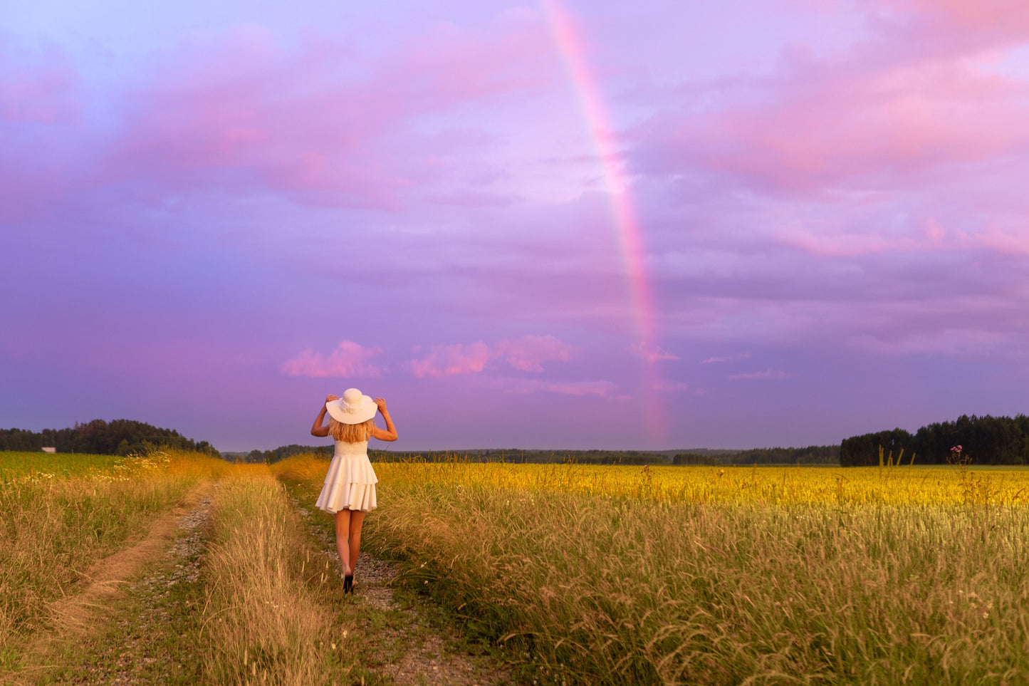 60 Rainbow Overlays Realistic Rainbow Sky Photoshop Overlay Magic Fairy Fantasy Overlays Rain and Sun Effect Sun Light Effects RAINBOW PNG