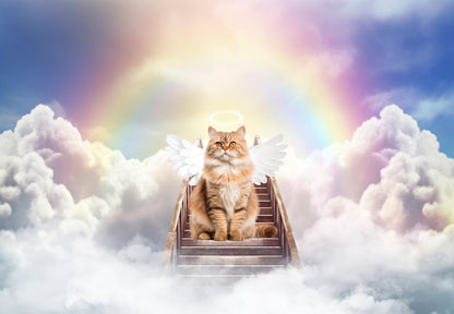 Rainbow Bridge Digital Backdrop Pet Memorial Digital Background Wings Overlay Pet Memorial Backdrop  Photography Composites Dog Memorial Cat