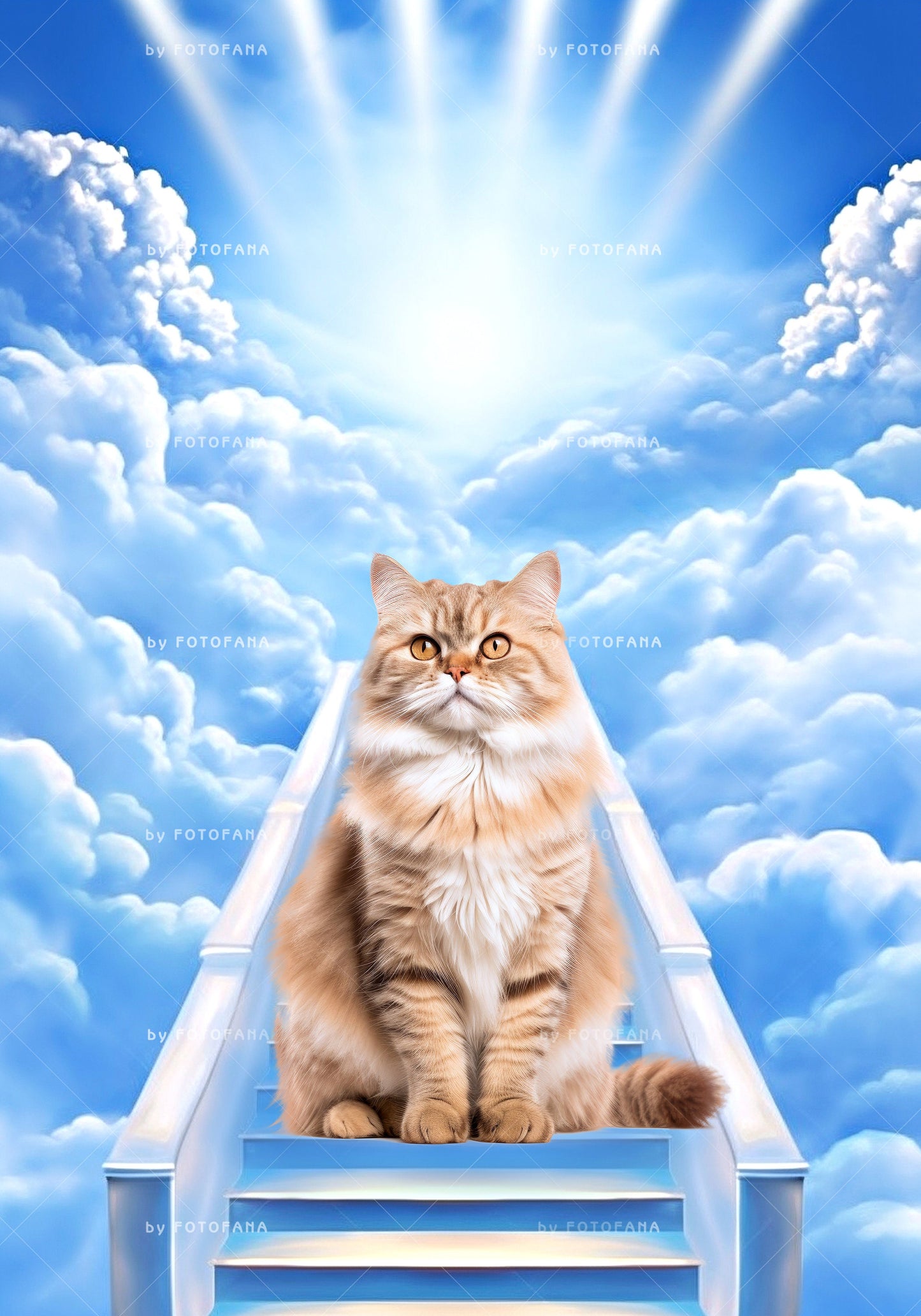 Stairway To Heaven Background Sky overlays Road to Heven Cloud overlay Digital sky Condolences Card Instant Download Pet Memorial Backdrop