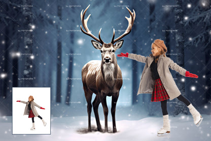 5 Christmas Polar Deer Christmas Digital Backdrop Christmas Background Winter Composite Christmas Polar Bear Winter Digital Background Snow