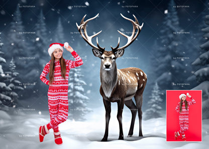 5 Christmas Polar Deer Christmas Digital Backdrop Christmas Background Winter Composite Christmas Polar Bear Winter Digital Background Snow