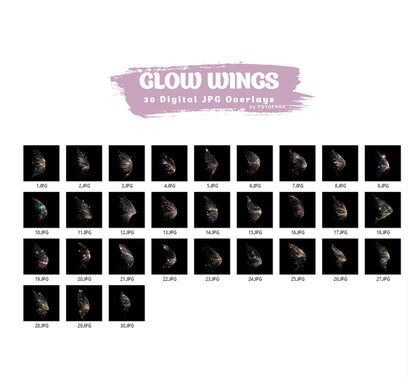 30 Glitter Wings Fairy Wings Digital Overlays Maternity Backdrop Overlays Studio Backdrops Photoshop Maternity Fine Art Textures Overlays