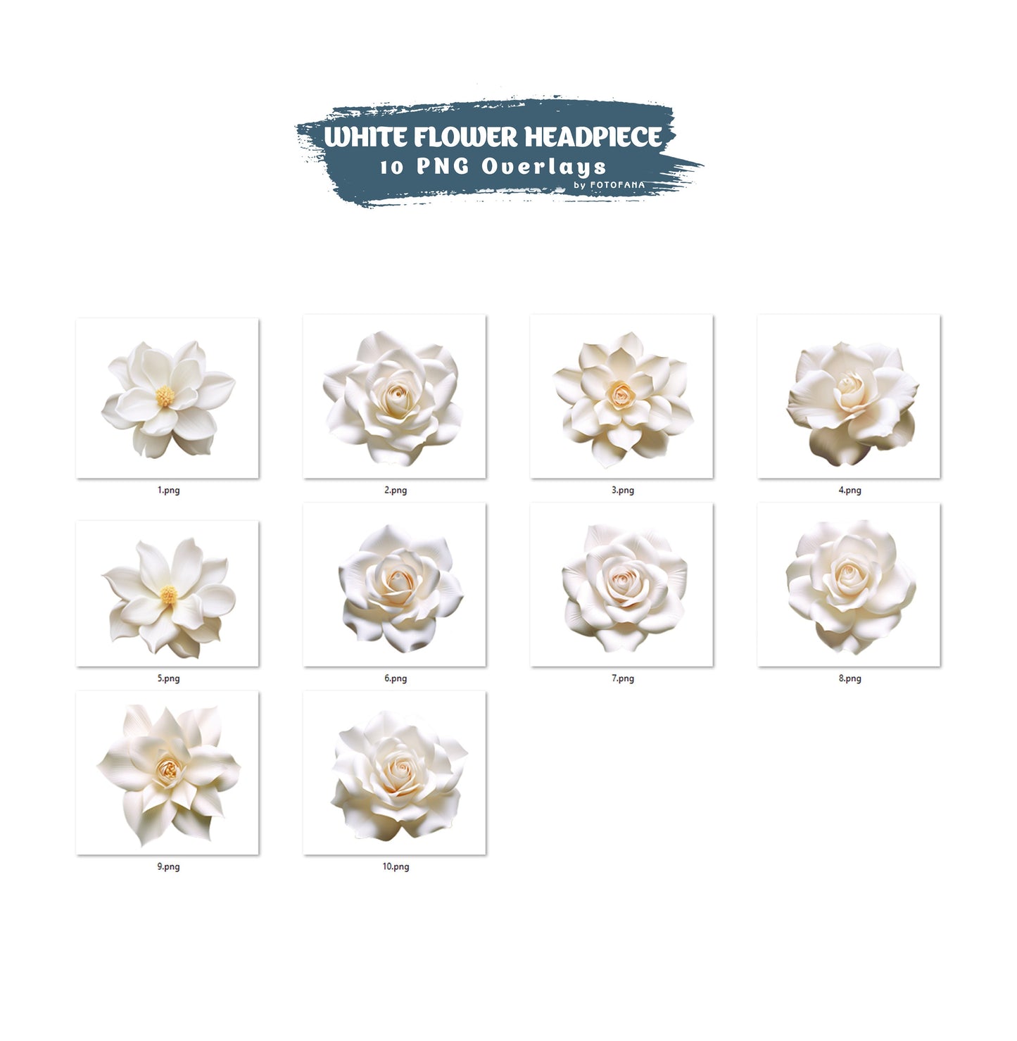 White Flower Headpiece Overlay Floral Maternity Backdrop Overlay Studio Backdrop Overlays Fine Art Floral Textures Photoshop Overlays PNG