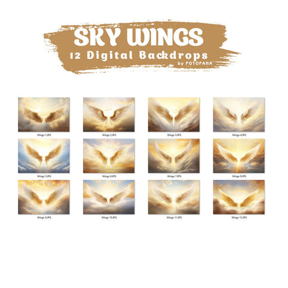 12 Angel Wings Digital Background Maternity Backdrop Overlays Backdrop Photoshop Maternity Fine Art Textures Photoshop Digital Backdrop JPG