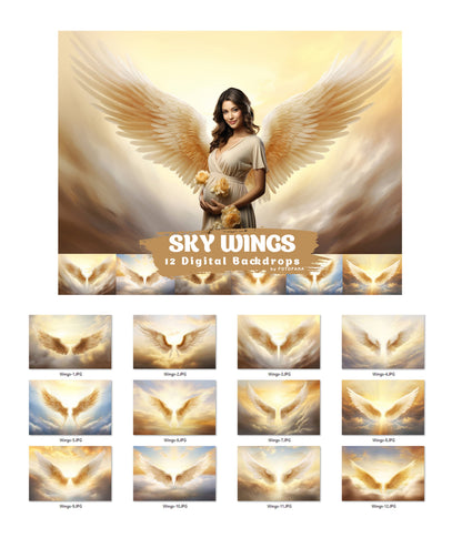 12 Angel Wings Digital Background Maternity Backdrop Overlays Backdrop Photoshop Maternity Fine Art Textures Photoshop Digital Backdrop JPG
