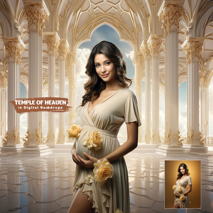 Digital Backdrop Goddess Maternity Backdrop Overlays Studio Backdrop Overlays Fine Art Textures Photoshop Overlays Castle Digital Backdrop