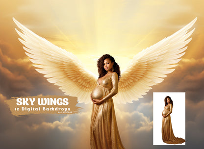 12 Angel Wings Digital Background Maternity Backdrop Overlays Backdrop Photoshop Maternity Fine Art Textures Photoshop Digital Backdrop JPG