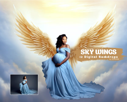 12 Angel Wings Digital Background Maternity Backdrop Overlays Backdrop Photoshop Maternity Fine Art Textures Photoshop Digital Backdrop JPG