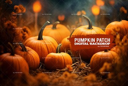 Pumpkin Patch Digital Background