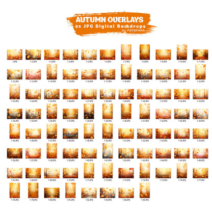 Autumn Overlays for Photoshop