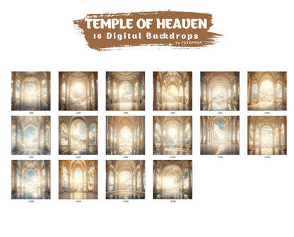 Digital Backdrop Goddess Maternity Backdrop Overlays Studio Backdrop Overlays Fine Art Textures Photoshop Overlays Castle Digital Backdrop