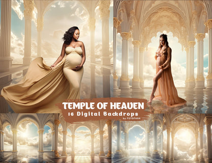 Digital Backdrop Goddess Maternity Backdrop Overlays Studio Backdrop Overlays Fine Art Textures Photoshop Overlays Castle Digital Backdrop